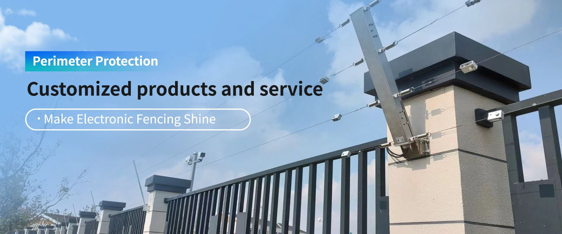 perimeter intrusion detection system